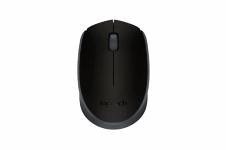LOGITECH M171 Souris sans fil