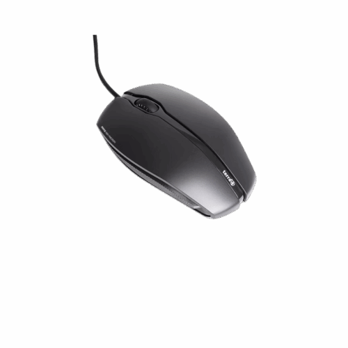 Souris filaire USB Terra 1000